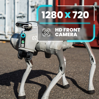 Unitree Go2 EDU+ AI Quadruped Robot Dog